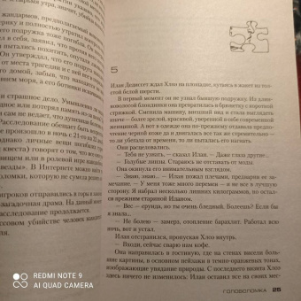 Франк Тилье: Головоломка