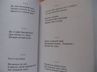 Мацуо Басё: Во тьме безлунной ночи