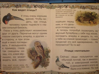 Валерий Роньшин: Птичьи секреты