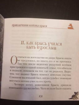Ольга Малышкина: Приключения котёнка Брыся