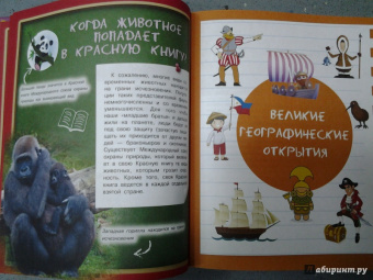 Дмитрий Туровец: Энциклопедия почемучки в вопросах и ответах