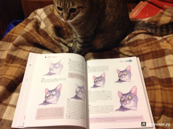 Чунь Гуань: Милые котики. Рисуем домашних любимцев