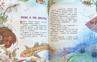 Святослав Сахарнов: Морские сказки