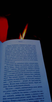 Александра Николаенко: Муравьиный бог. Реквием