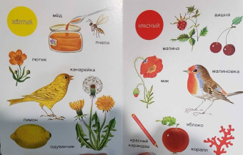 Елена Ивановская: Моя первая книжка о цвете