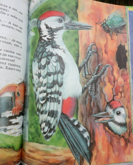 Виталий Бианки: Большая книга сказок