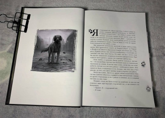 Роджер Желязны: Ночь в тоскливом октябре. Подарочное иллюстрированное издание