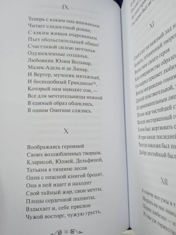 Александр Пушкин: Евгений Онегин