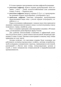 Позняковский, Рязанова: Птица сельскохозяйственная и пернатая дичь. Характеристика, биологические особенности, идентиф. СПО