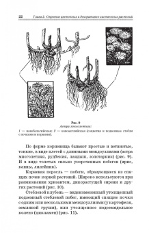Шаламова, Крупина, Миникаев: Цветоводство. Практикум. Учебное пособие