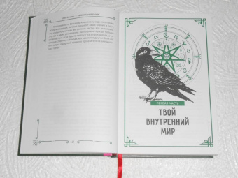 Дебра Деанджело: Любознательный язычник. Руководство для начинающих по природе, магии и духовности