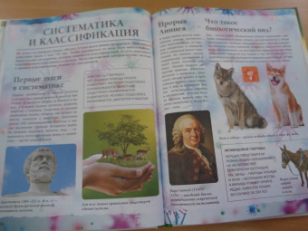 Анна Спектор: Живой мир