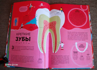 Макс Пембертон: Тело человека. Как работает наш удивительный организм