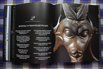 Даниэле Витали: Кельты