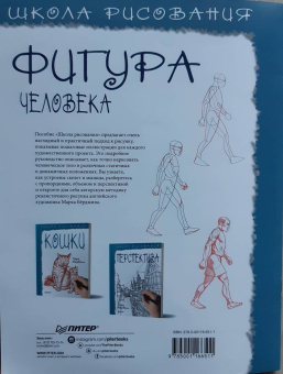 Марк Берджин: Школа рисования. Фигура человека