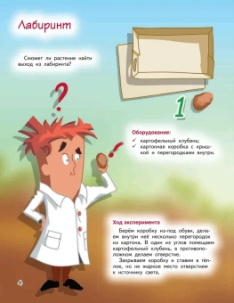 Белько Егор Анатольевич: Весёлые научные опыты. Увлекательные эксперименты с растениями и солнечным светом