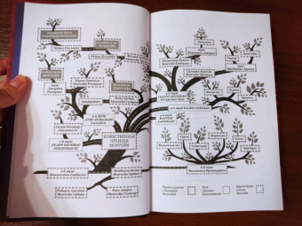 Зорайда Кордова: Наследие Божественной Орхидеи