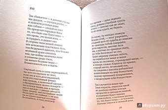 Виктория Иноземцева: Материя (+CD)