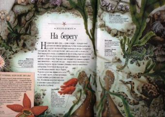 Самая красивая энциклопедия животных