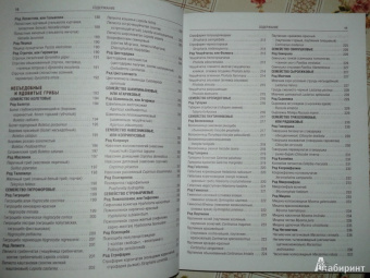 Иван Куреннов: Грибы. Полная иллюстрированная энциклопедия