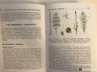 Барабанов, Зайчикова: Ботаника. Учебник