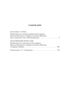 Лейкин Николай Александрович: В гостях у турок. Под южными небесами