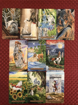 Мюллер, Курара: Таро магических собак + Таро Театр кукол (6080)