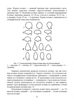 Мешков, Терехова, Константинович: Овощеводство. Практикум. Учебное пособие для СПО