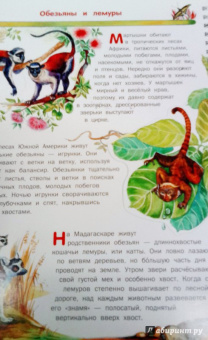 Владимир Бабенко: Животные