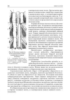 Зеленевский, Щипакин, Былинская: Анатомия животных. Неврология. Особенности строения домашней птицы. Практикум