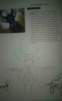 Франсуа Лассерр: Музей живых насекомых