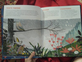 Сангма Фрэнсис: Эверест