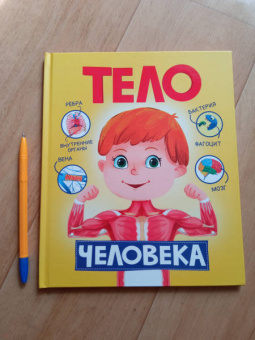 Тело человека