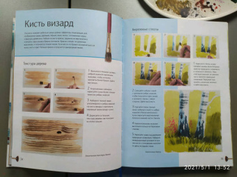 Терри Харрисон: Зимние сюжеты акварелью. Как нарисовать снежную сказку