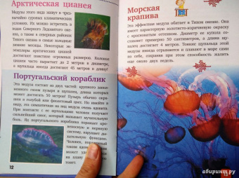Дмитрий Кошевар: Жители морей и океанов