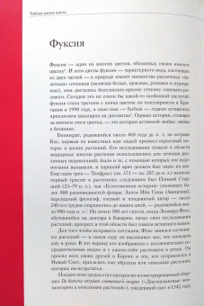 Кассия Сен-Клер: Тайная жизнь цвета