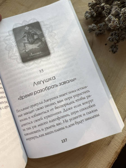 Колетт Барон-Рид: The Spirit Animal Oracle. Духи животных. Оракул, 68 карт и руководство в подарочном оформлении