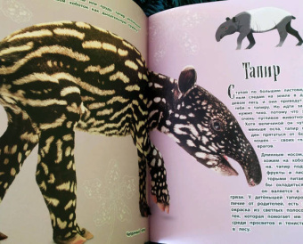 Бен Хоар: Чудеса природы. Энциклопедия