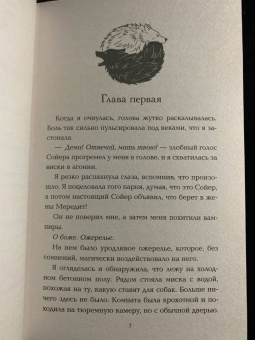 Лея Стоун: Потерянная