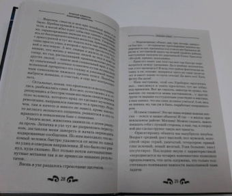Широков, Шапочкин: Игнис. Осколки клана