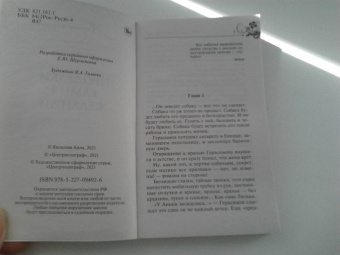Анна Яковлева: Проделки камня желаний