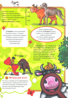 Ольга Евдокимова: Домашние животные