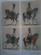 Станислав Люлин: Прусская кавалерия. 1808-1840. Prussian Cavalry. Том 1