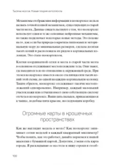 Джефф Хокинс: 1000 мозгов. Новая теория интеллекта