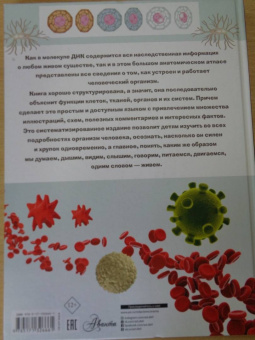 Анна Спектор: Анатомия