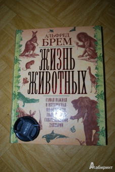 Альфред Брем: Жизнь животных. Самая важная и интересная информация, дополненная современными данными