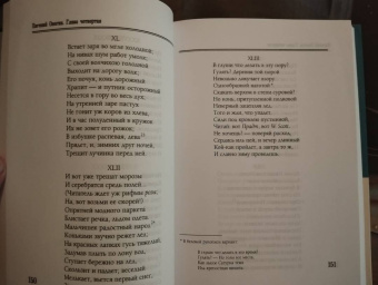 Александр Пушкин: Евгений Онегин