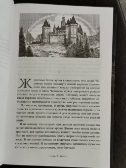 Ольга Голотвина: Хранитель пограничной крепости