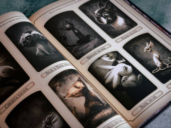 Себастьян Перес: Удивительное семейство Аппенцелль
