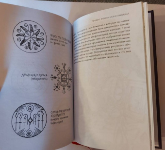 Микки Мюллер: Зеркало ведьмы. Ремесло, знания и магия зазеркалья